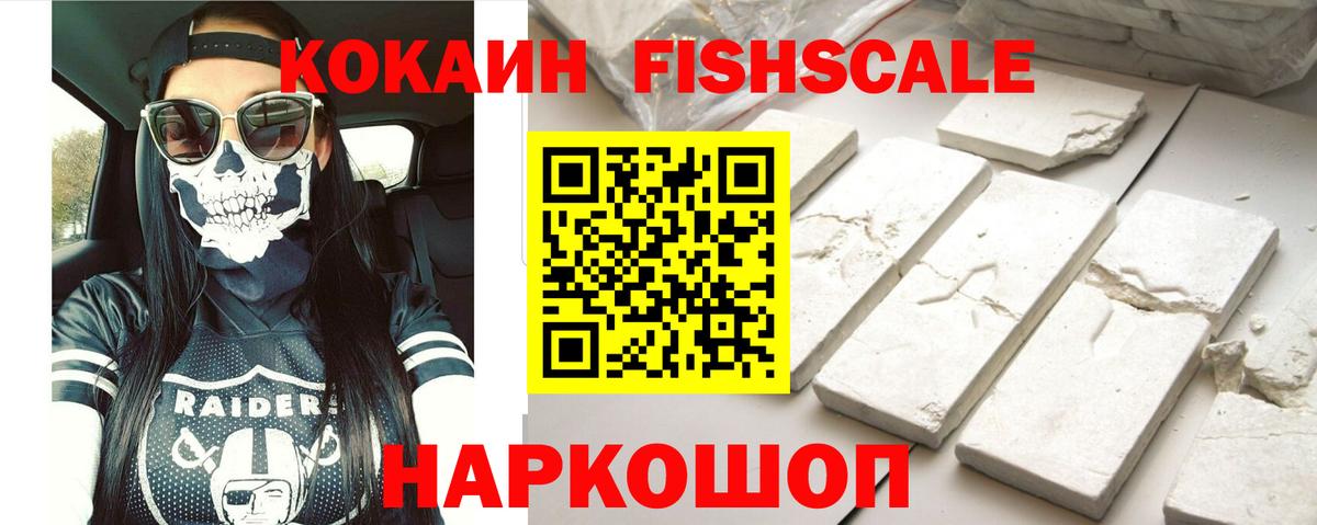 продажа наркотиков  Cocaine Перу  Вход с VPN  КОКАИН Fish Scale  Камышлов 