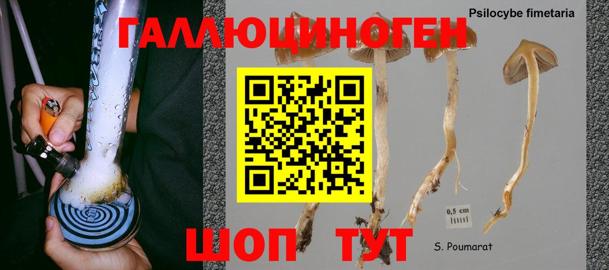 Камышлов  Псилоцибиновые грибы ЛСД  Вход с VPN 